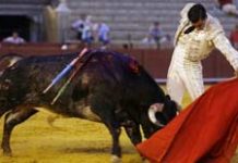 Cinco silencios y unas raquíticas palmas