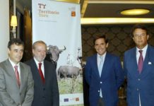 ‘Territorio Toro’, un producto de promoción sevillano