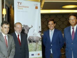 ‘Territorio Toro’, un producto de promoción sevillano