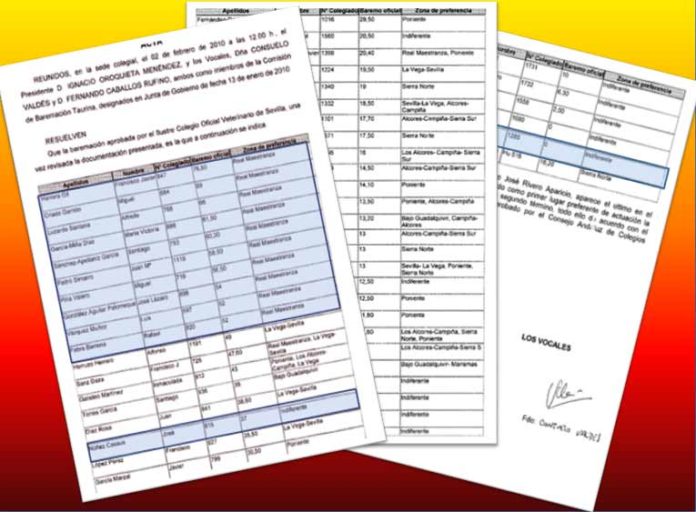 El Baremo Técnico que la delegada Carmen Tovar no quería que saliera a la luz pública. Marcados en azul, los veterinarios elegidos. Observese los dos saltos, sobre todo al nombrar al último de la lista.