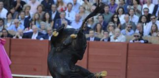 Con la plaza llena y tarde de expectación, ¿por qué no se evitó un desastre anunciado? (FOTO: Sevilla Taurina)