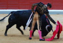 Luque, cuatro orejas en Jaén Daniel Luque esta tarde en Jaén. (FOTO: Ana López / burladero.com)