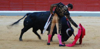 Daniel Luque esta tarde en Jaén. (FOTO: Ana López / burladero.com)