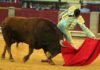 Daniel Luque esta tarde en Zaragoza. (FOTO: burladero.com)