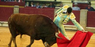 Daniel Luque esta tarde en Zaragoza. (FOTO: burladero.com)