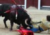 El momento de la cornada de Manuel Fernández. (FOTO: Iván de Andrés / burladero.com)