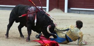 El momento de la cornada de Manuel Fernández. (FOTO: Iván de Andrés / burladero.com)