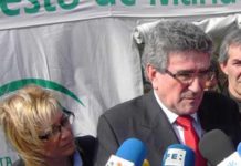 La delegada Carmen Tovar, a la espalda del consejero de Gobernación, Luis Pizarro. (FOTO: Sevilla Actualidad)