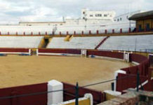 Festival benéfico en Écija a favor del banderillero Juan Castillo Plaza de toros de Écija.