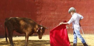 El nuevo Manolo Vázquez. (FOTOS: Pepe Sánchez / 'Toros para todos')