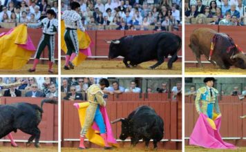 Los toros del 26 de septiembre, por los suelos. (FOTOS: Sevilla Taurina)