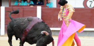Remate de capote de Luis Vilches esta tarde en Madrid. (FOTO: Matito)
