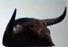 El toro del ‘fotochó’