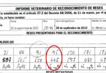 Zalduendo presentó toros con menos de 450 kilos Acta veterinaria, con los pesos de los toros presentados por Zalduendo.