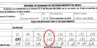 Acta veterinaria, con los pesos de los toros presentados por Zalduendo.