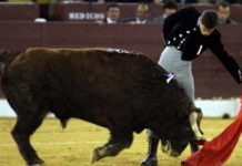 Luque indulta un novillo en un festival en Carmona