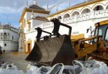 Buen ritmo de las obras de la Maestranza (GALERÍA GRÁFICA)