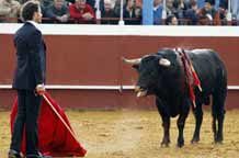 Indulto en Los Palacios: ¿quién será sancionado? Finito, frente al astado indultado en Los Palacios. (FOTO: Aplausos)
