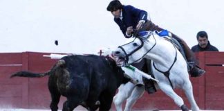 Un instante de la actuación de Ventura con 'Morante' en Juchipila.