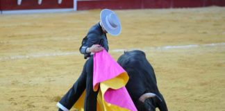 Daniel Luque gustándose en los lances por verónicas. (FOTO: Matito)