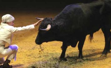 Uno de los momentos más especiales del espectáculo. (FOTO: Javier Martínez)