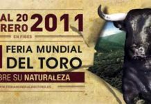 Cartel para la edición fallida de 2011.