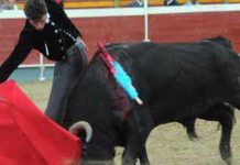 Luque corta dos orejas y rabo en el festival de Pepino Daniel Luque en su actuación esta tarde. (FOTO: Julián López / burladero.com)