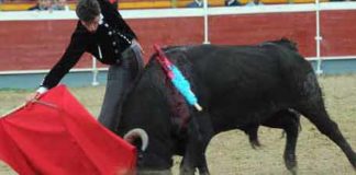 Daniel Luque en su actuación esta tarde. (FOTO: Julián López / burladero.com)