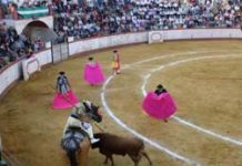 La plaza de toros de Cantillana. (FOTO: Javier Martínez)