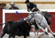 Diego Ventura montando a 'Morante' en la plaza Encarnación de Díaz.