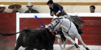 Diego Ventura montando a 'Morante' en la plaza Encarnación de Díaz.