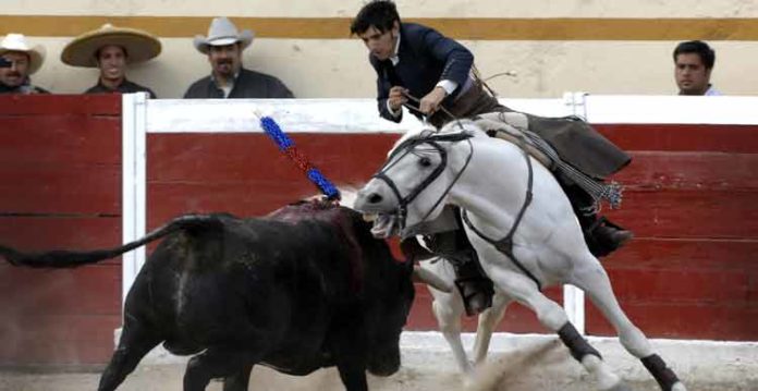 Diego Ventura montando a 'Morante' en la plaza Encarnación de Díaz.