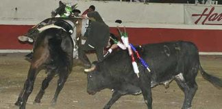 Adorno de Ventura en San Miguel de Allende. (FOTO: Donaciano Botello)