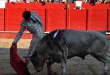 César Girón y Diego Ventura, triunfadores en América Profundo derechazo de César Girón hoy en Maracay (Venezuela).