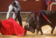 Morante, silencio en Castellón Morante, hoy en Castellón. (FOTO: Prime Time Comunicación)