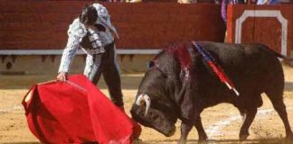 Morante, hoy en Castellón. (FOTO: Prime Time Comunicación)