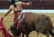 Triunfo sevillano en Nimes