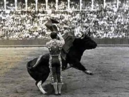 Pepin Martín Vázquez en la Maestranza.