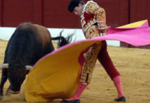 Carteles de la Feria de Osuna El diestro local Ángel Luis Carmona toreando en la plaza de Osuna el pasado año.
