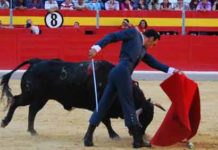 Ventura y El Cid triunfan en el festival de Granada Pase de pecho de El Cid esta tarde en Granada. (FOTO: Marisa Fernández / burladero.com)