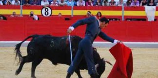 Pase de pecho de El Cid esta tarde en Granada. (FOTO: Marisa Fernández / burladero.com)