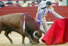 El Cid, sin toros en Castellón El Cid torea con la izquierda esta tarde en Castellón. (FOTO: Prime Time Comunicacion?