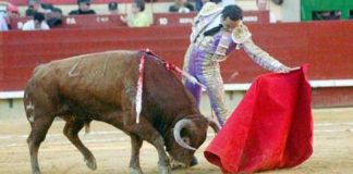 El Cid torea con la izquierda esta tarde en Castellón. (FOTO: Prime Time Comunicacion?