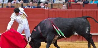 Buen derechazo de Oliva Soto esta tarde. (FOTO: Paco Díaz/toroimagen.com)