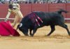 El sevillano Antonio Barrera en un derechazo. (FOTO: Paco Díaz/toroimagen.com)