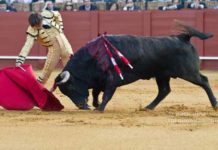 Dolores Aguirre, fracaso claro y rotundo El sevillano Antonio Barrera en un derechazo. (FOTO: Paco Díaz/toroimagen.com)