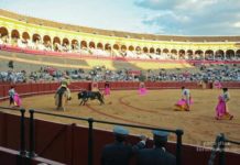 Toros de exposición con cita para el matadero Preocupante aspecto de los tendidos de sol casi vacíos esta tarde. (FOTO: Paco Díaz/toroimagen.com)