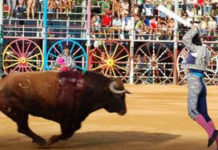 La corrida goyesca de La Algaba, el 15 de mayo Par de banderillas en la pintoresca plaza de La Algaba. (FOTO: Sevilla Taurina)