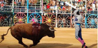 Par de banderillas en la pintoresca plaza de La Algaba. (FOTO: Sevilla Taurina)