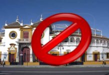 SEVILLA TAURINA, VETADA por tercer año consecutivo en la REAL MAESTRANZA La empresa de la Maestranza vuelve a vetar a SEVILLA TAURINA.